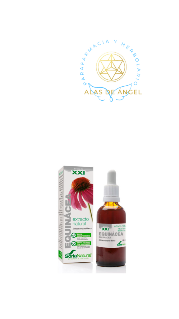 EXTRACTO EQUINACEA S XXI 50 ml - SORIA NATURAL