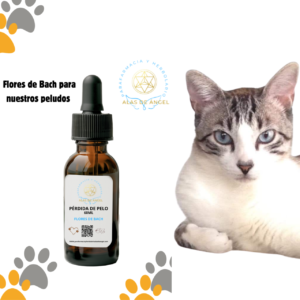FLORES DE BACH PARA MASCOTAS ‘CAÍDA DEL PELO’ 60ML