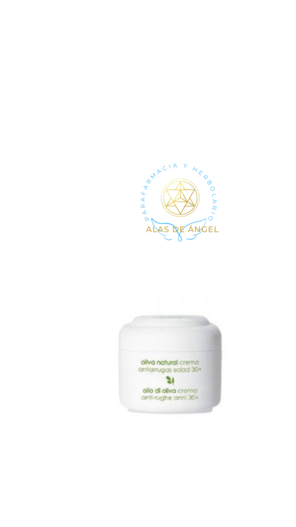 ZIAJA OLIVA Crema facial antiarrugas Crema antiarrugas de Oliva para piel seca y propensa a las arrugas. Nutre, hidrata y regenera eficazmente la epidermis.