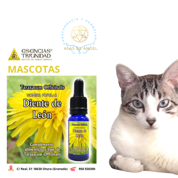ESENCIAS TRIUNIDAD EN VETERINARIA »DIENTE DE LEÓN» 15ml