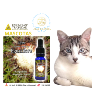 ESENCIAS TRIUNIDAD EN VETERINARIA »EGUZKILORE» 15ml