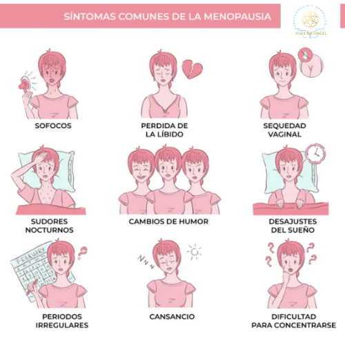 menopausia Flores de Bach 60 ml - Imagen 2