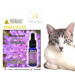 ESENCIAS TRIUNIDAD EN VETERINARIA »ESCABIOSA» 15ml