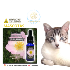 ESENCIAS TRIUNIDAD EN VETERINARIA »ESCARAMUJO» 15ml