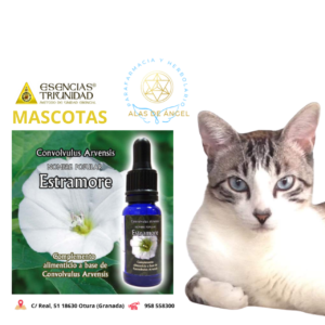 ESENCIAS TRIUNIDAD EN VETERINARIA »ESTRAMORE» 15ml ESENCIAS TRIUNIDAD EN VETERINARIA »ESTRAMORE» 15ml