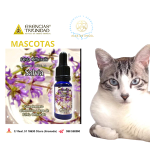 ESENCIAS TRIUNIDAD EN VETERINARIA »SALVIA» 15ml ESENCIAS TRIUNIDAD EN VETERINARIA »SALVIA» 15ml
