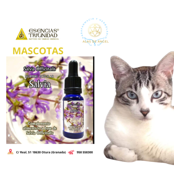 ESENCIAS TRIUNIDAD EN VETERINARIA »SALVIA» 15ml ESENCIAS TRIUNIDAD EN VETERINARIA »SALVIA» 15ml