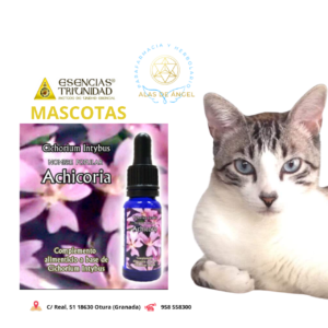 ESENCIAS TRIUNIDAD EN VETERINARIA »ACHICORIA» 15ml
