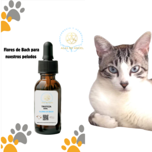 FLORES DE BACH PARA MASCOTAS ‘TRISTEZA’ 60ML
