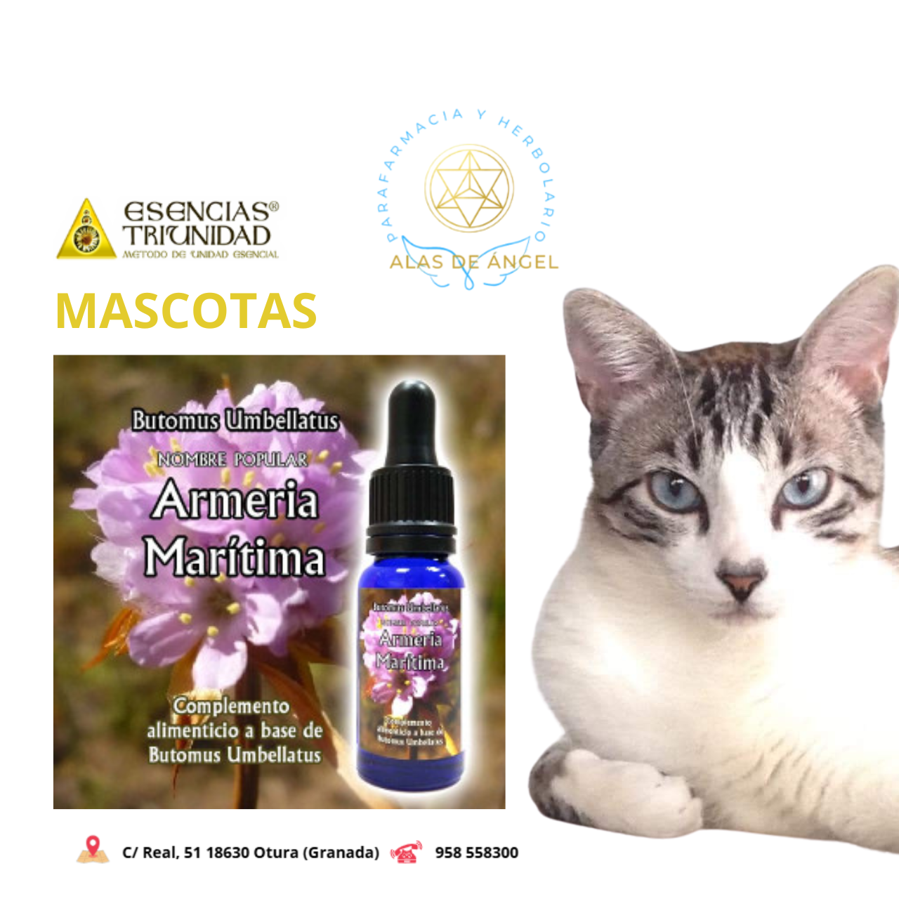 ESENCIAS TRIUNIDAD EN VETERINARIA »ARMERIA MARITIMA» 15ml