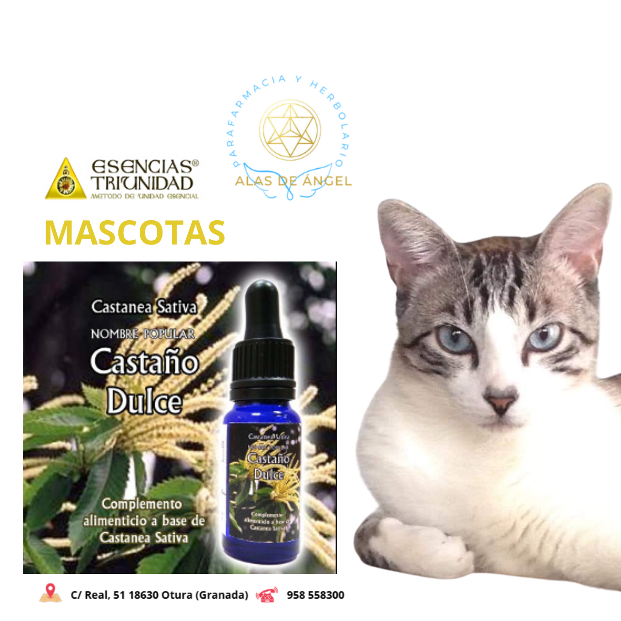 ESENCIAS TRIUNIDAD EN VETERINARIA »CASTAÑO DULCE» 15ml