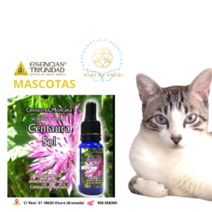 ESENCIAS TRIUNIDAD EN VETERINARIA »CENTAURA SOL» 15ml