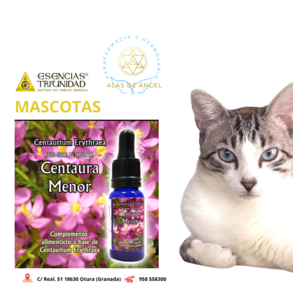 ESENCIAS TRIUNIDAD EN VETERINARIA »CENTAURA NIGRA» 15ml ESENCIAS TRIUNIDAD EN VETERINARIA »CENTAURA MENOR» 15ml