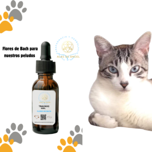FLORES DE BACH PARA MASCOTAS ‘TRAUMAS’ 60ML