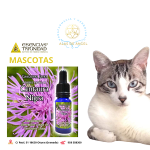 ESENCIAS TRIUNIDAD EN VETERINARIA »CENTAURA NIGRA» 15ml