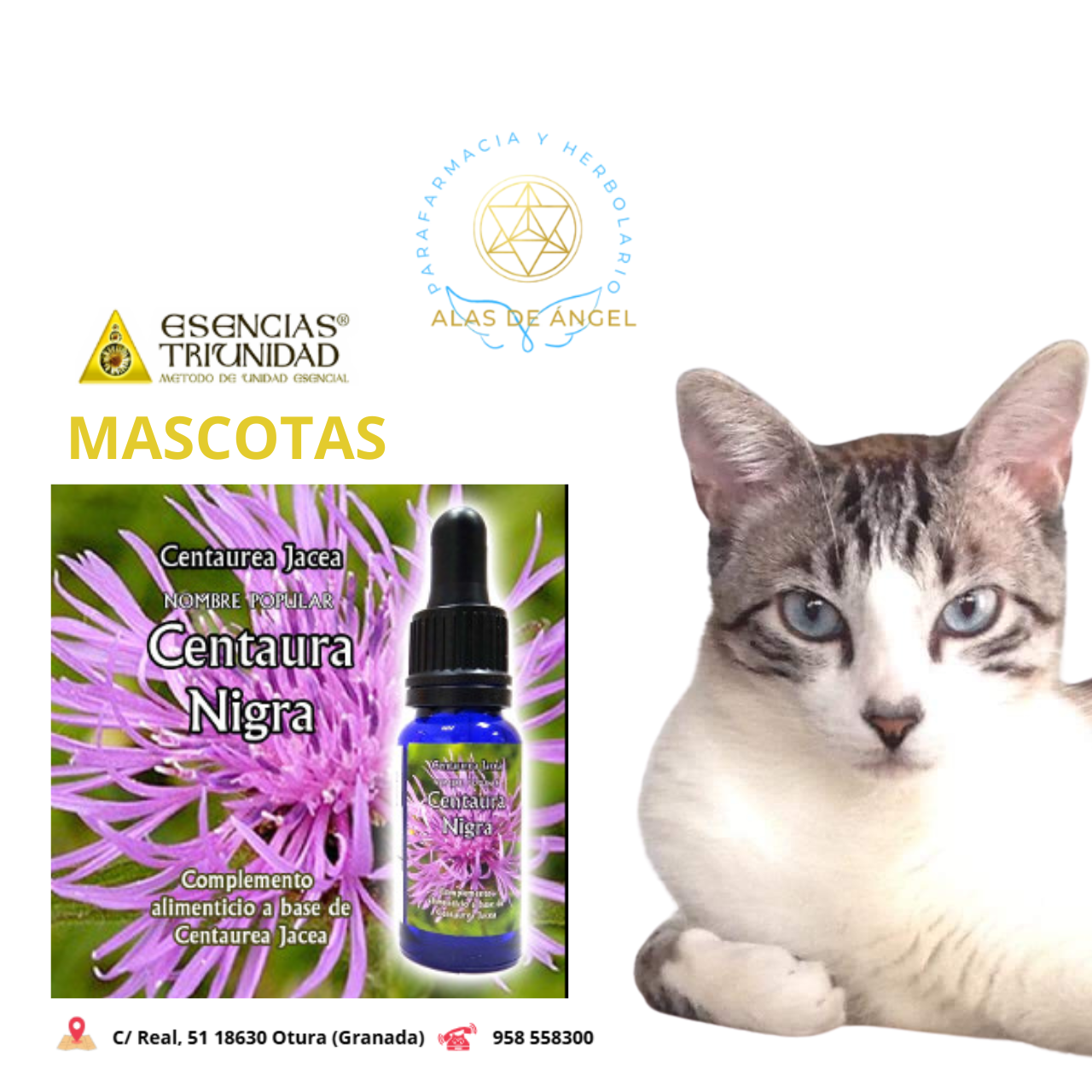 ESENCIAS TRIUNIDAD EN VETERINARIA »CENTAURA NIGRA» 15ml