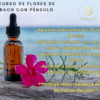 Curso de Flores de Bach con péndulo