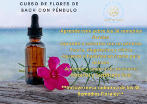 Curso de Flores de Bach con péndulo