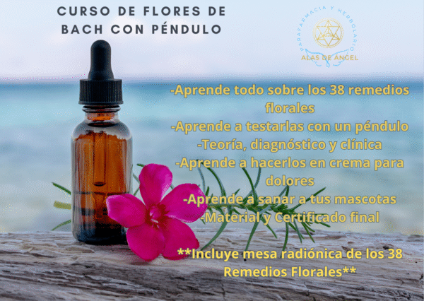 Curso de Flores de Bach con péndulo